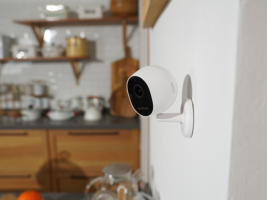 What Security Cameras Should I Use at Home?